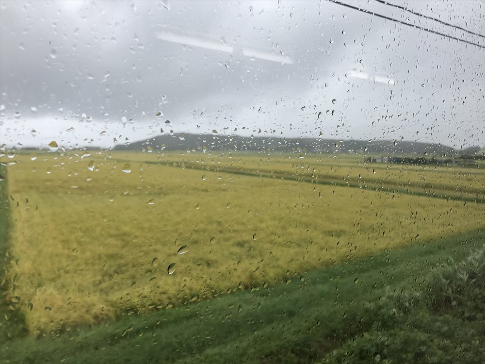 のと鉄道から稲穂