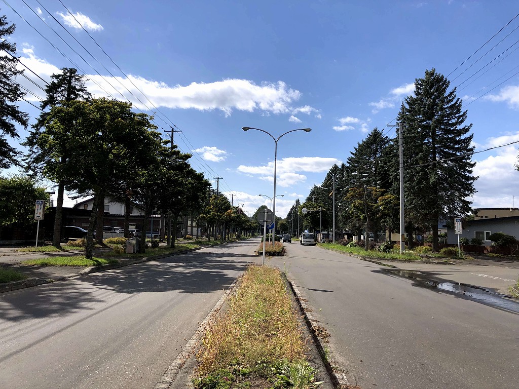 碁盤目状の十勝市街地の対角線通り