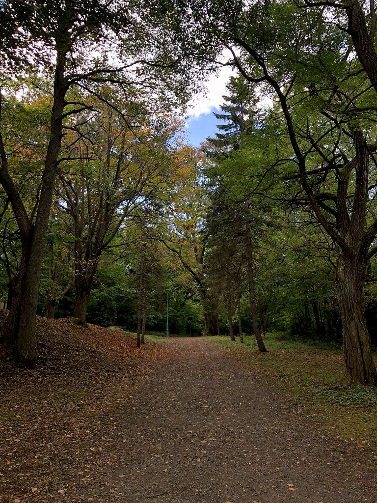 帯広の緑ヶ丘公園で熊？
