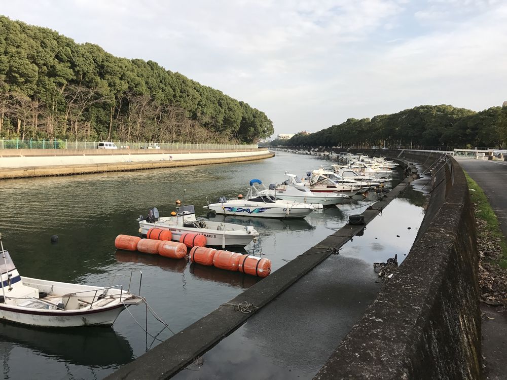 裏川の河口付近の船
