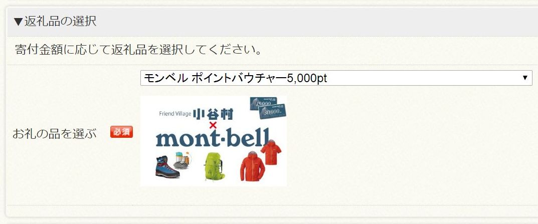 長野県小谷村ふるさと納税申込みフォームの返礼品の選択