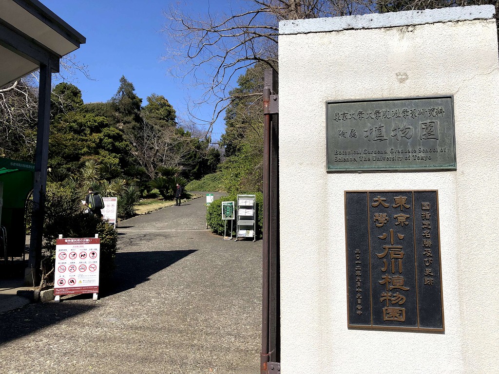 小石川植物園のチケット販売所