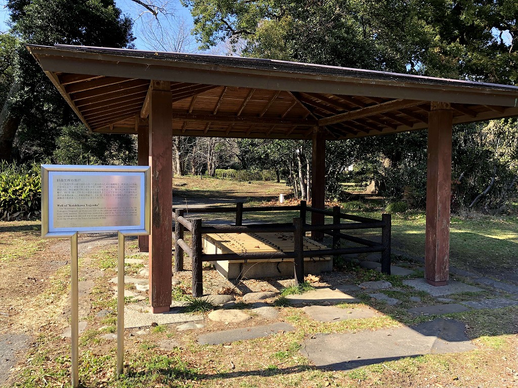 小石川植物園の旧養生所の井戸