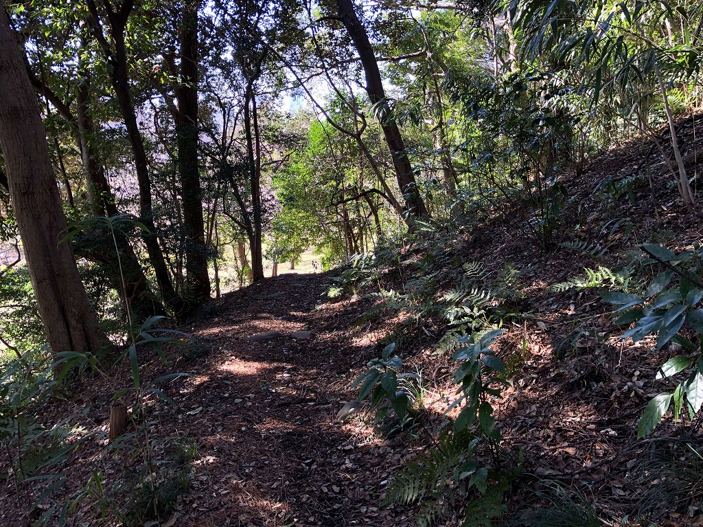 小石川植物園の関東大震災記念碑近くの傾斜
