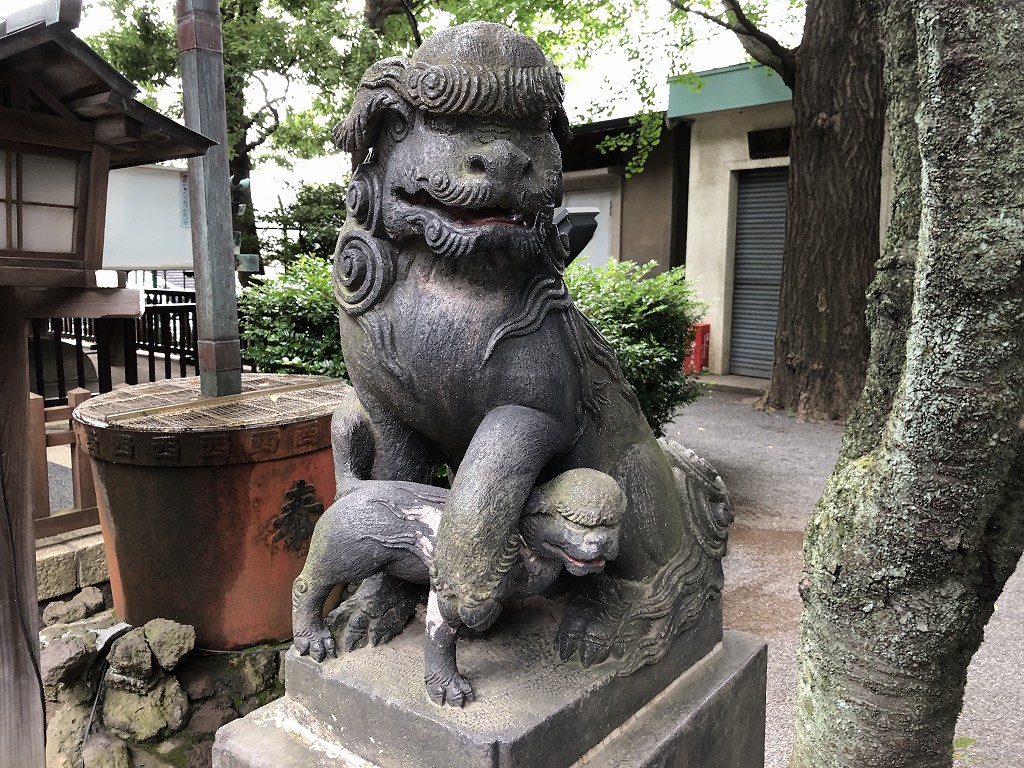 七社神社の狛犬1