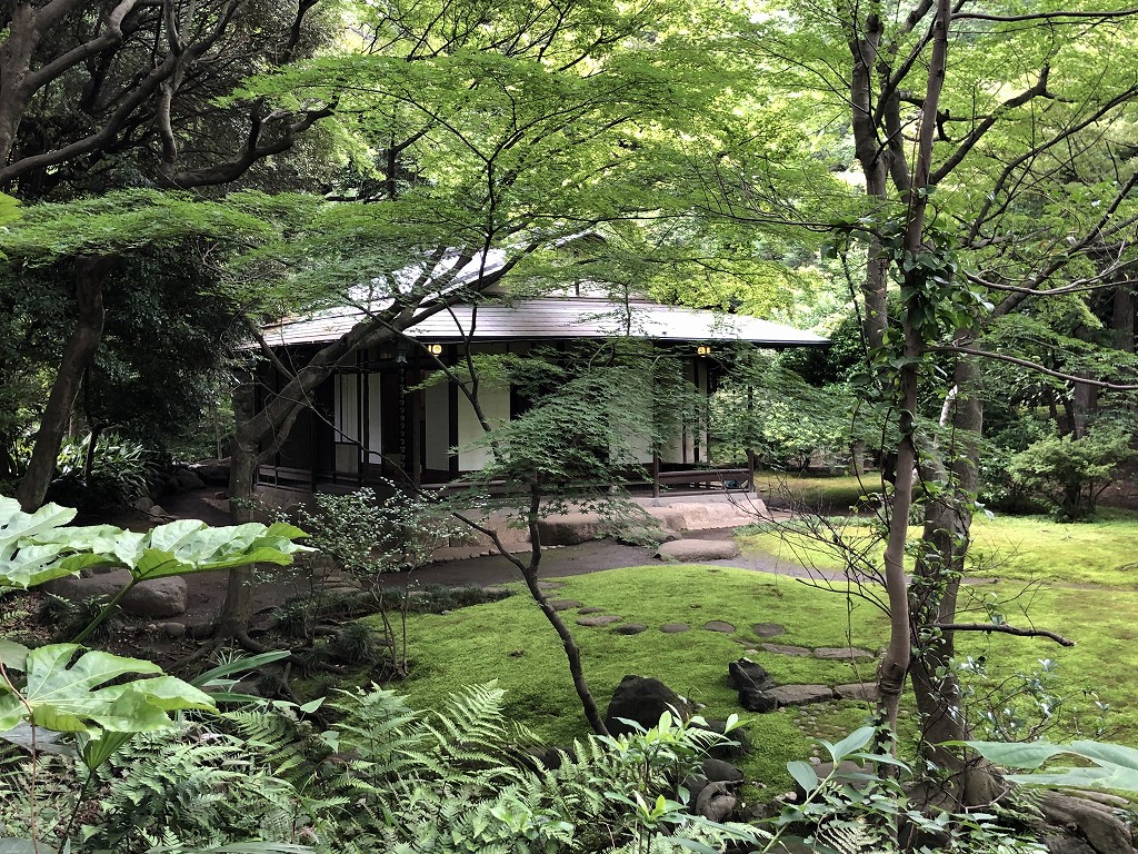 旧古河庭園の日本庭園5