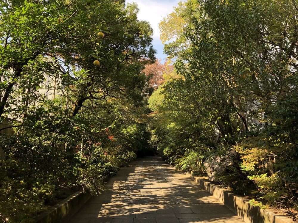 東禅寺の参道
