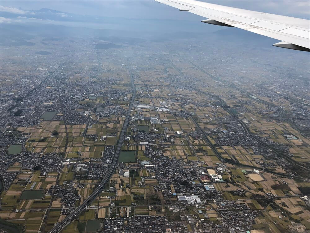 JAL115便から見た大阪平野の田んぼ