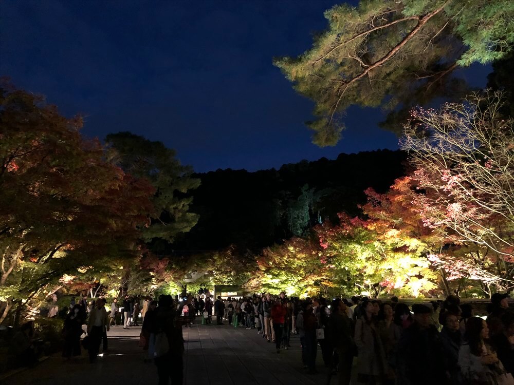 永観堂の夜間拝観3
