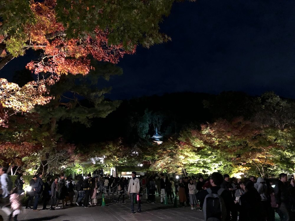永観堂の夜間拝観5