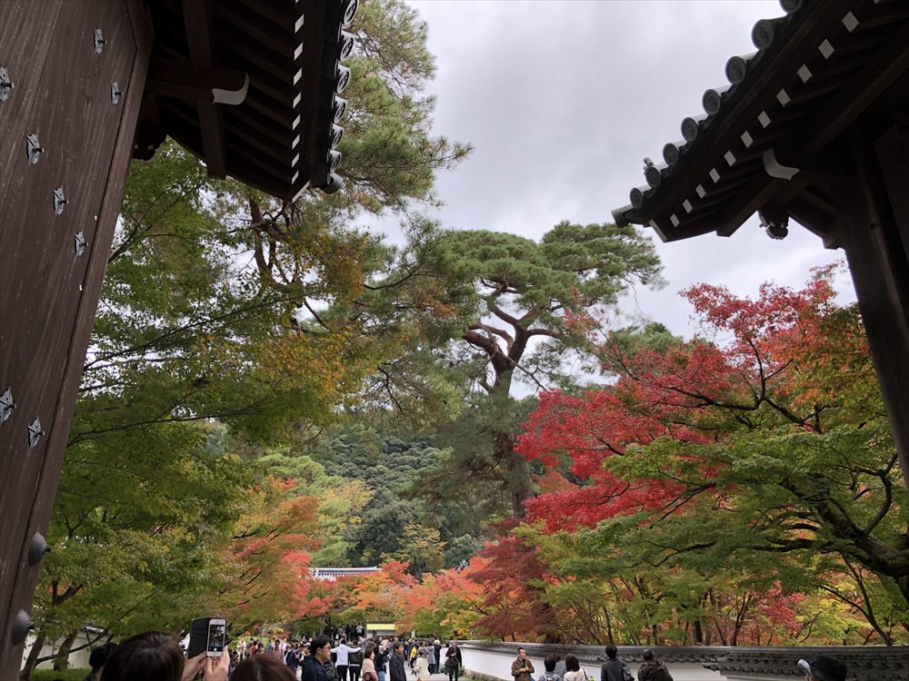永観堂の紅葉1
