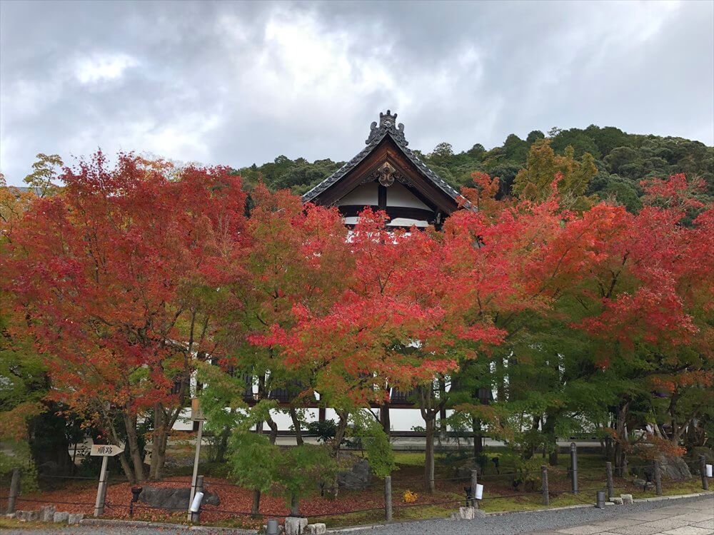 永観堂の紅葉3