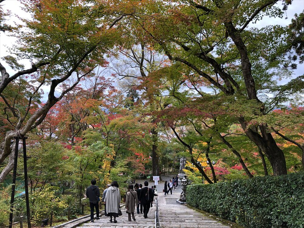 永観堂の放生池1