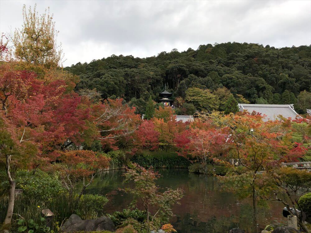 放生池から多宝塔1