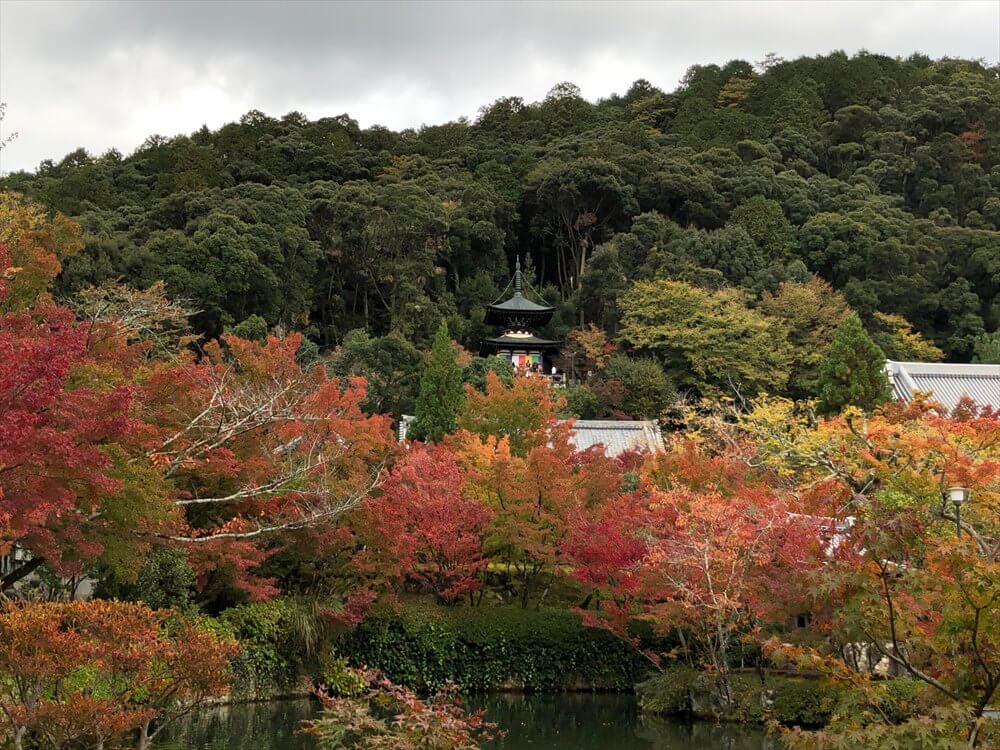 放生池から多宝塔2