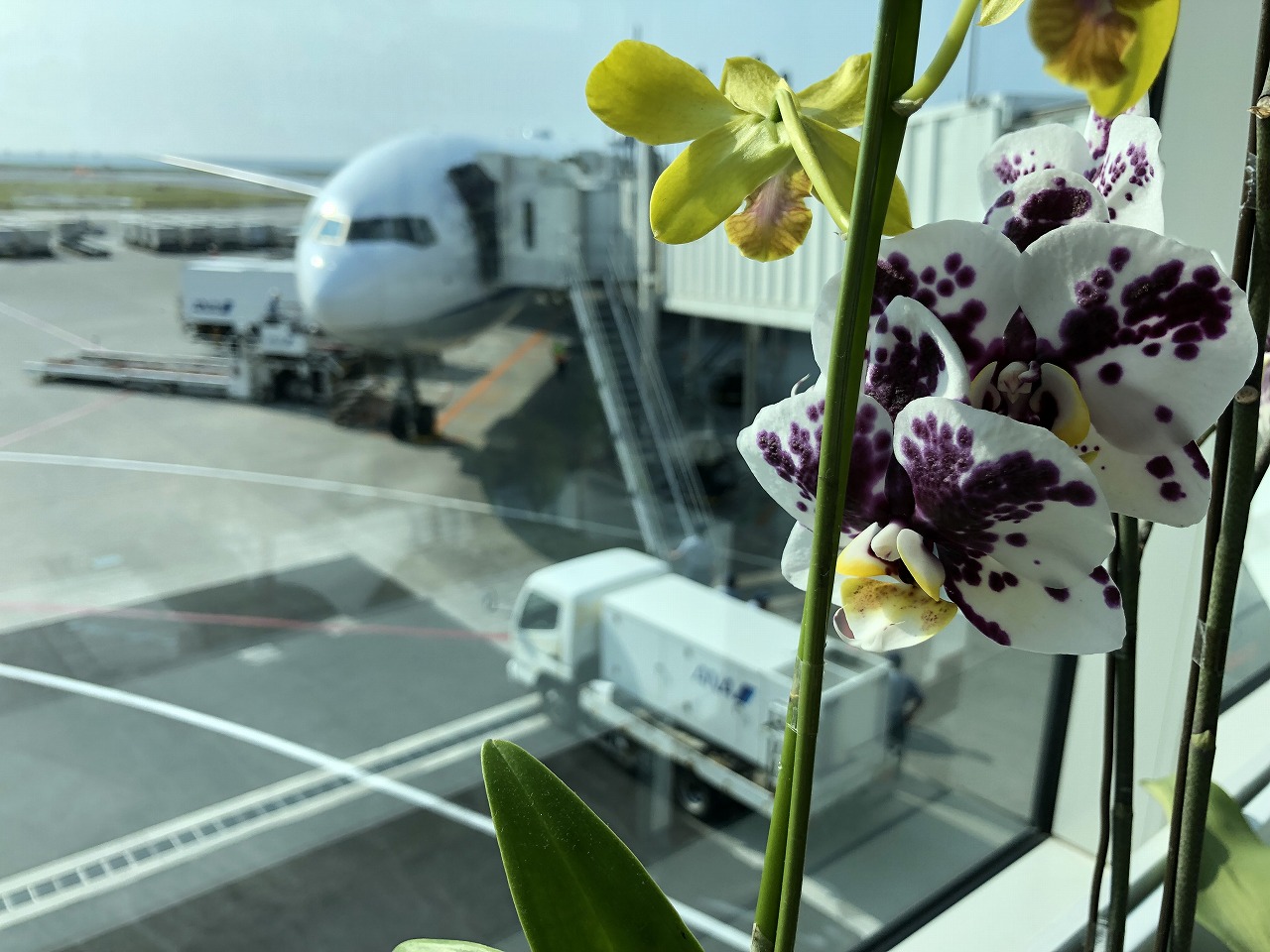 沖縄空港のANA473便