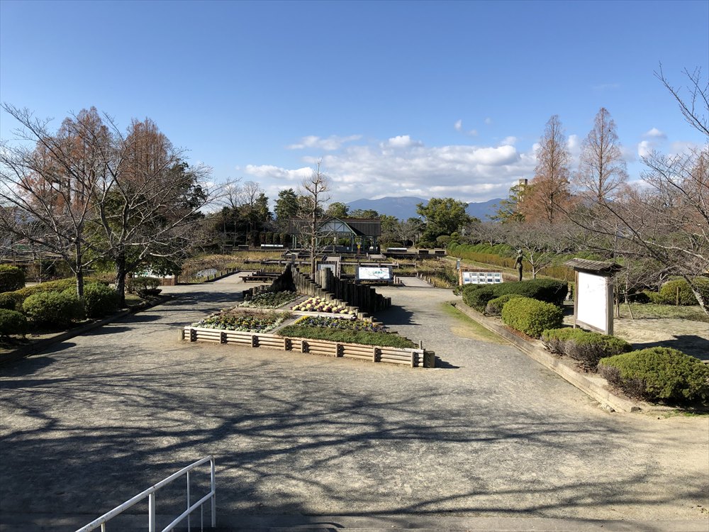 晴天の神野公園