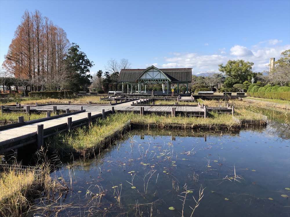 神野公園のとんぼ池1