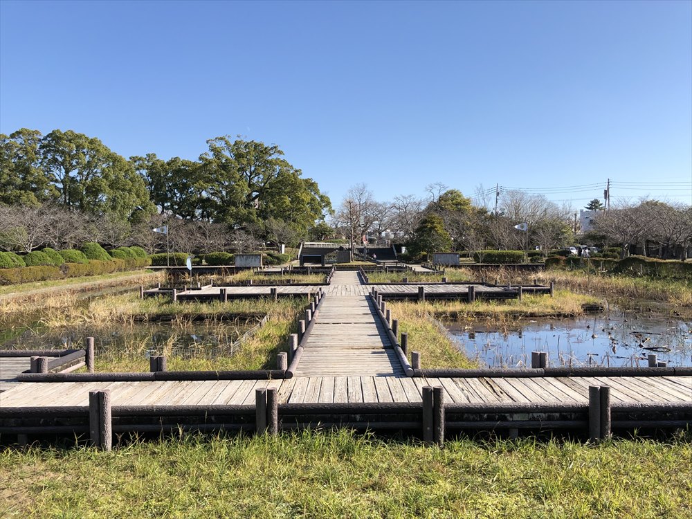 神野公園のとんぼ池2