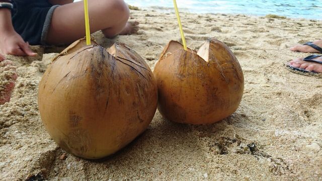 バコロドのココナッツ
