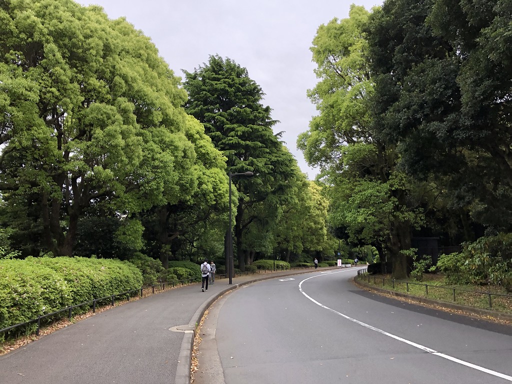 北の丸公園