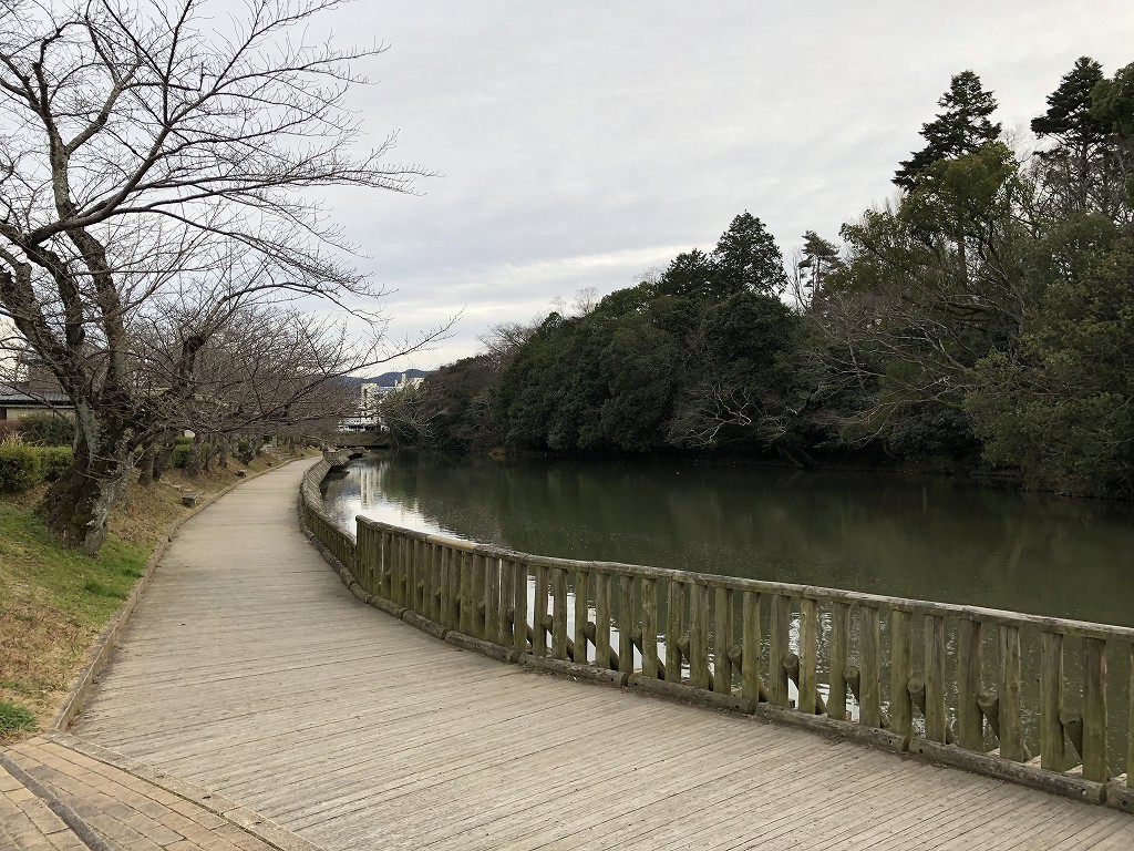 南郷池の遊歩道