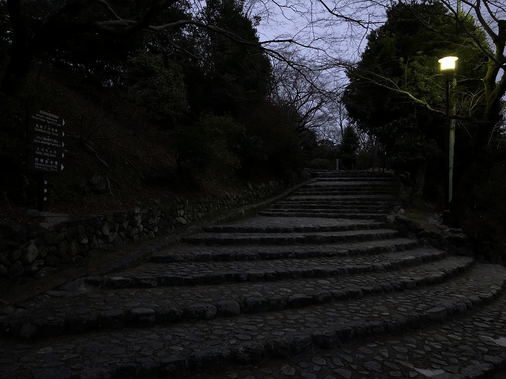 早朝の亀山公園5