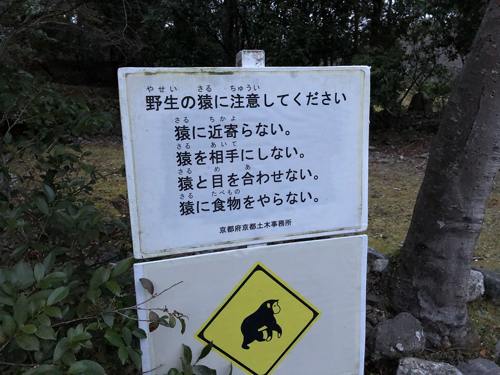 早朝の亀山公園4