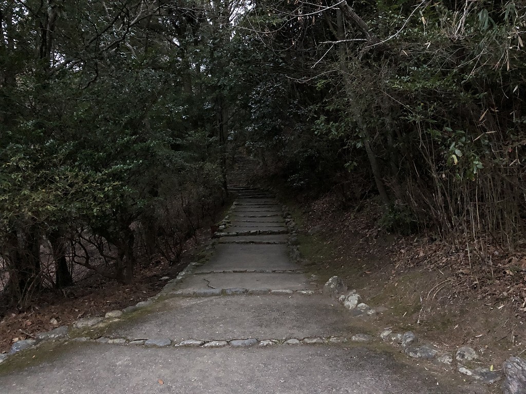 早朝の亀山公園1