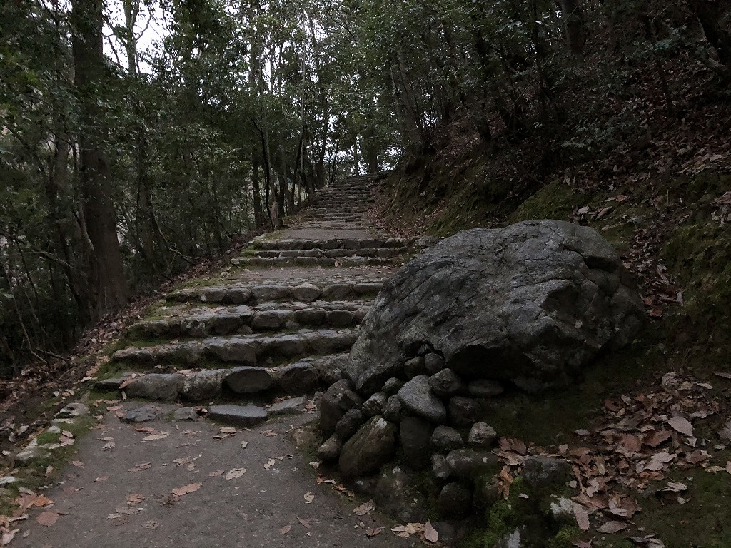 早朝の亀山公園2