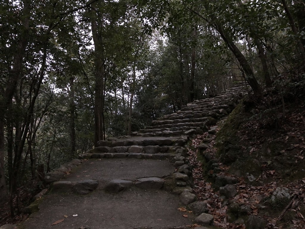 早朝の亀山公園3