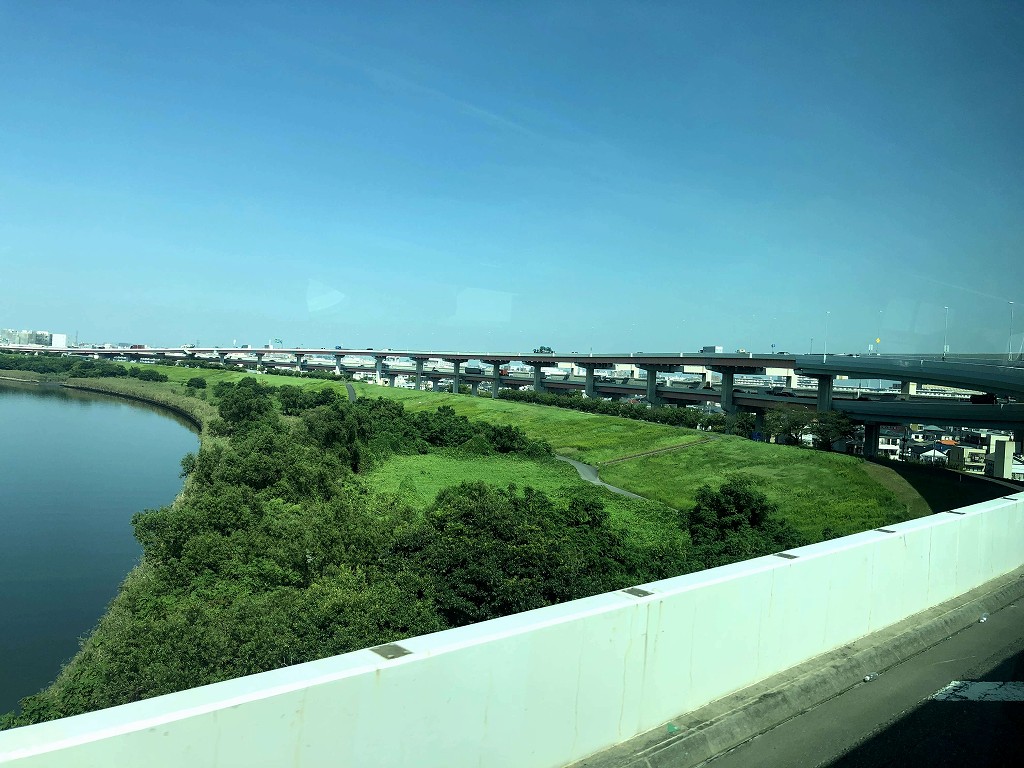 緑が鮮やかな荒川沿いの風景