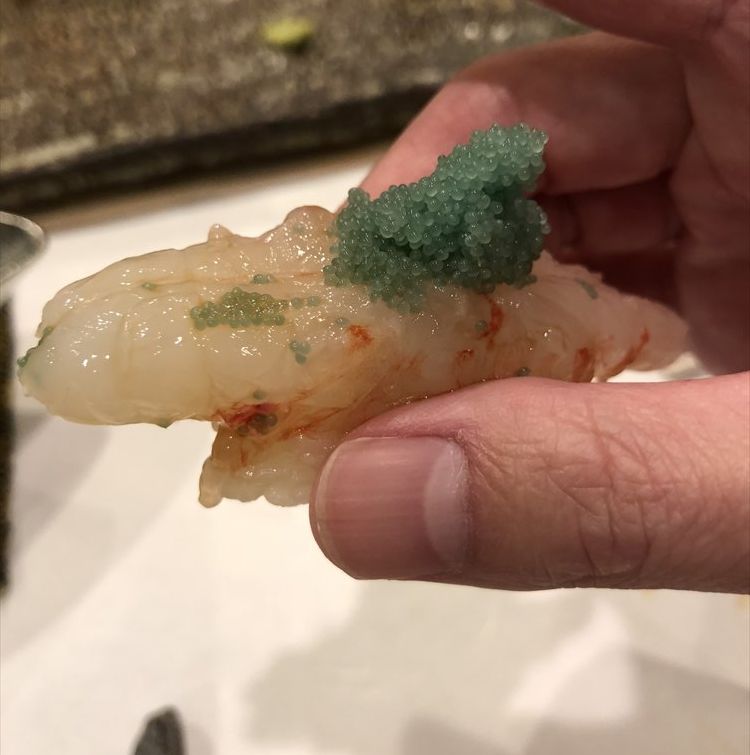 札幌の鮨 西光のボタンエビ