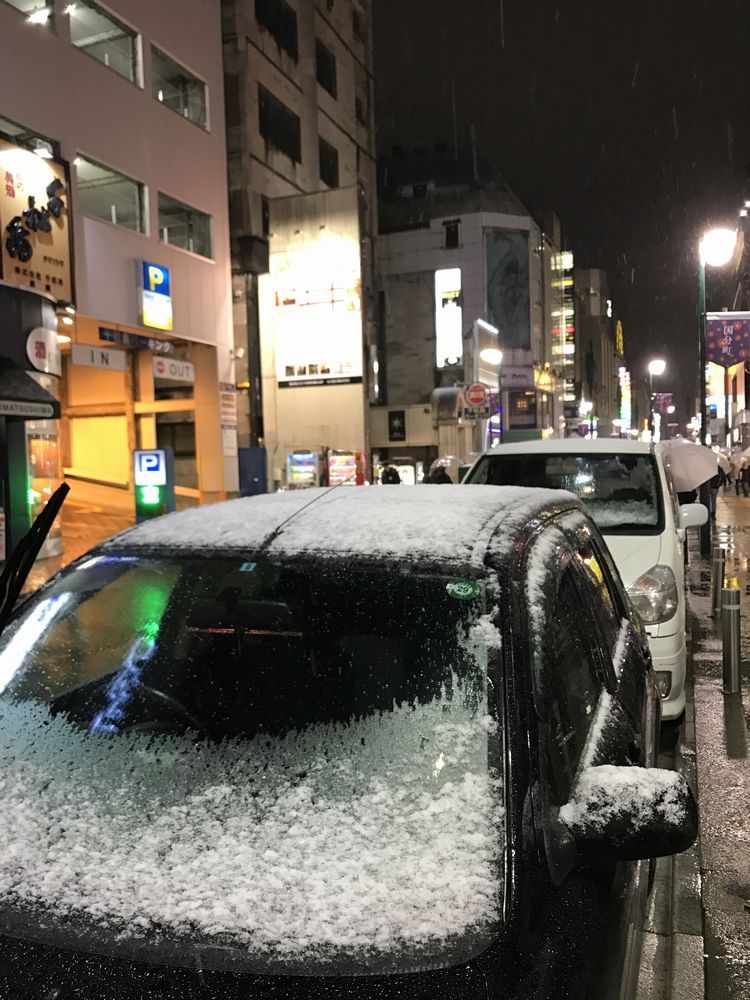 仙台の雪
