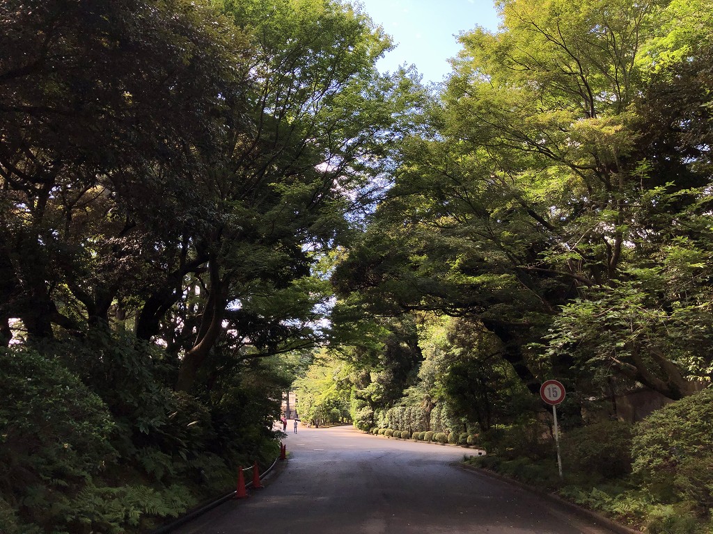 東京都庭園美術館の森