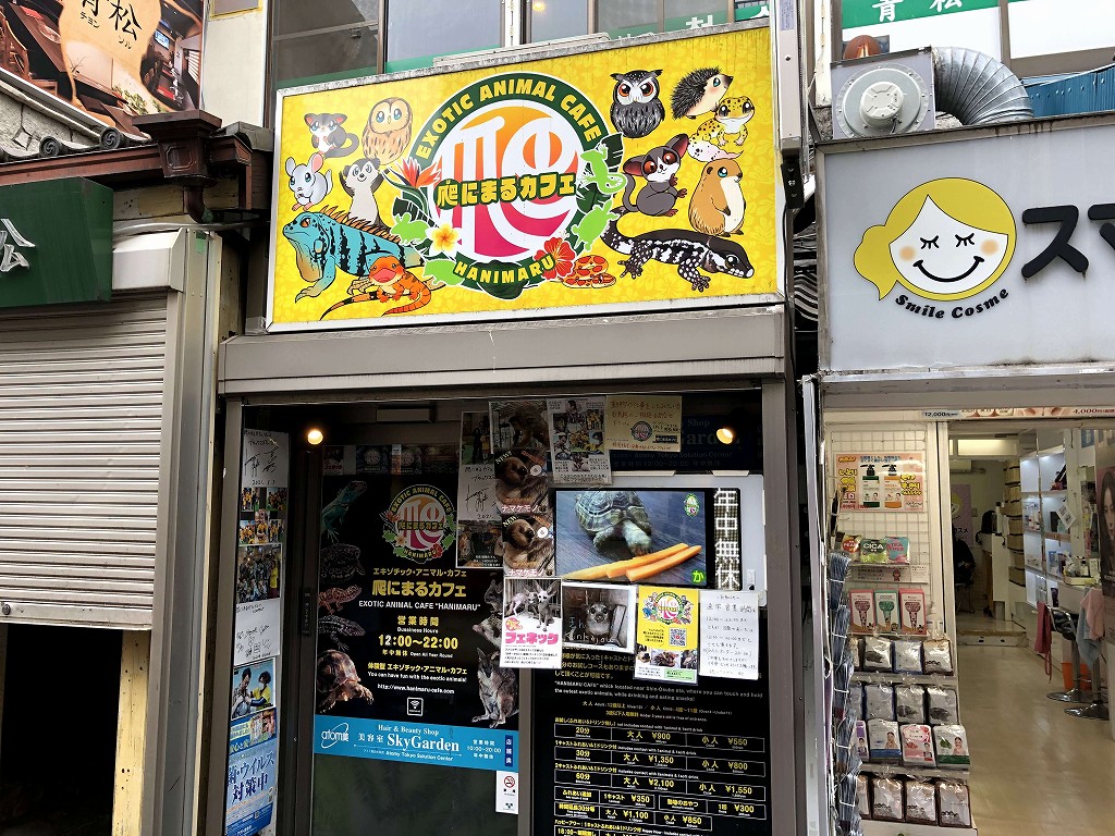 新大久保の爬にまるカフェ