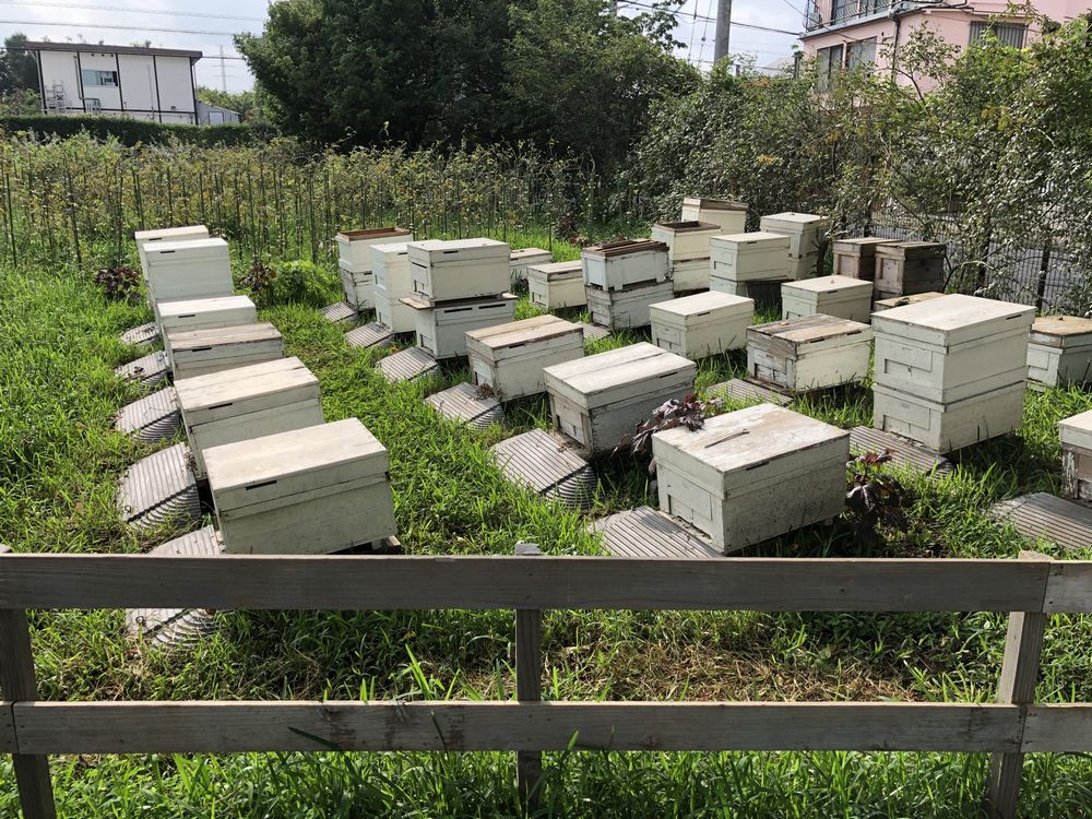 宍戸園カフェの養蜂場