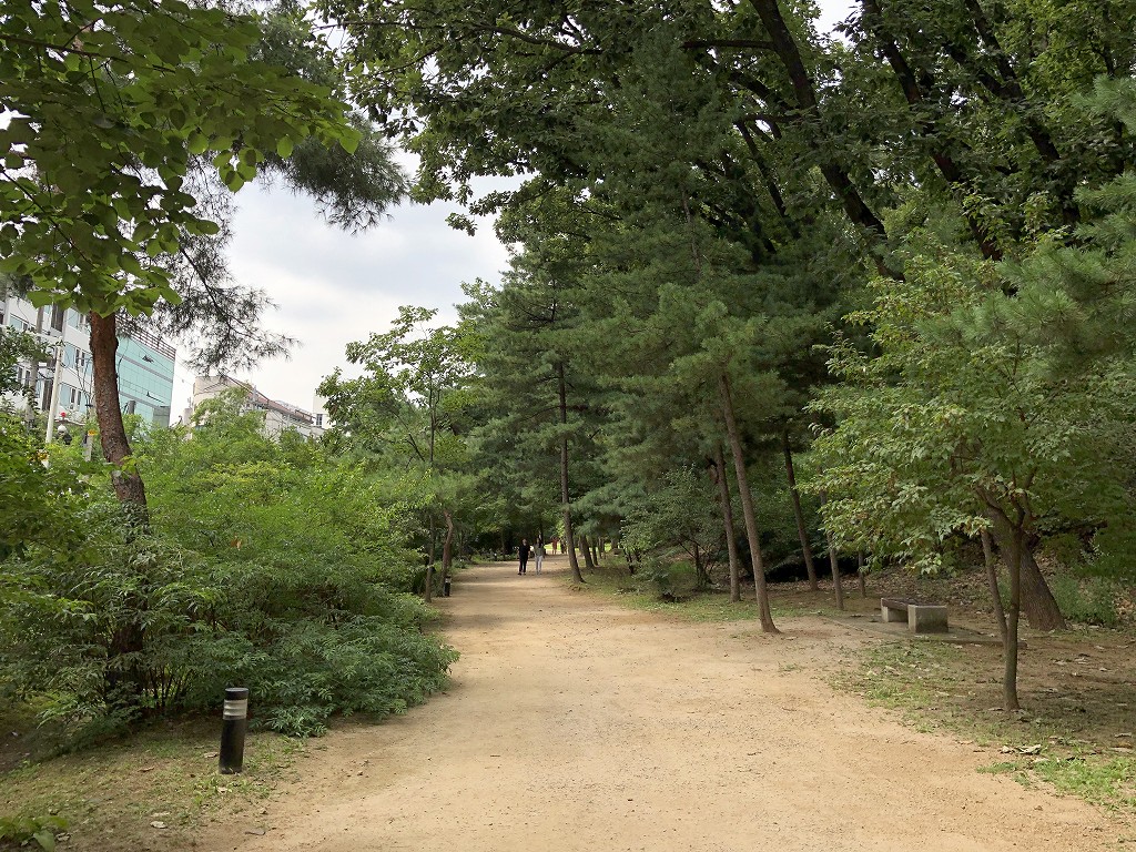 宣陵・靖陵の木陰