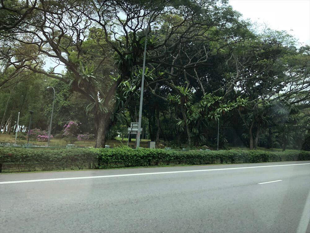 シンガポールの緑