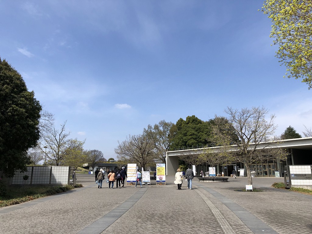 国営昭和記念公園1