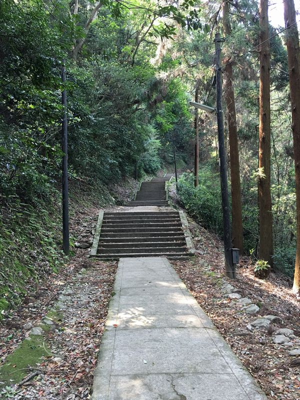 金刀比羅宮の鬱蒼とした山道1
