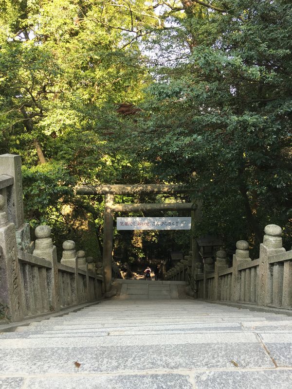 金刀比羅宮の下向道2