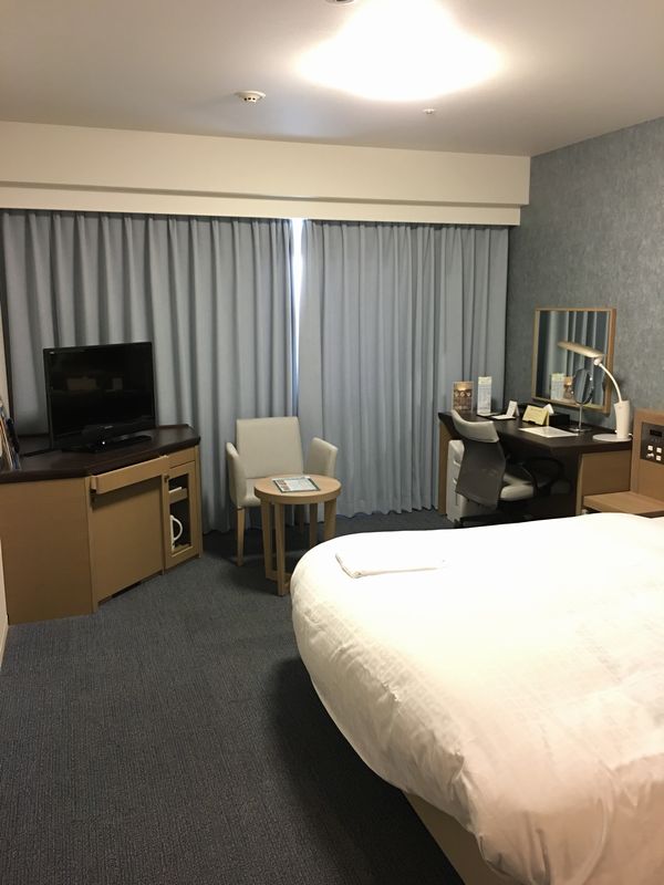 ダイワロイネットホテル高松 モデレートルーム窓側