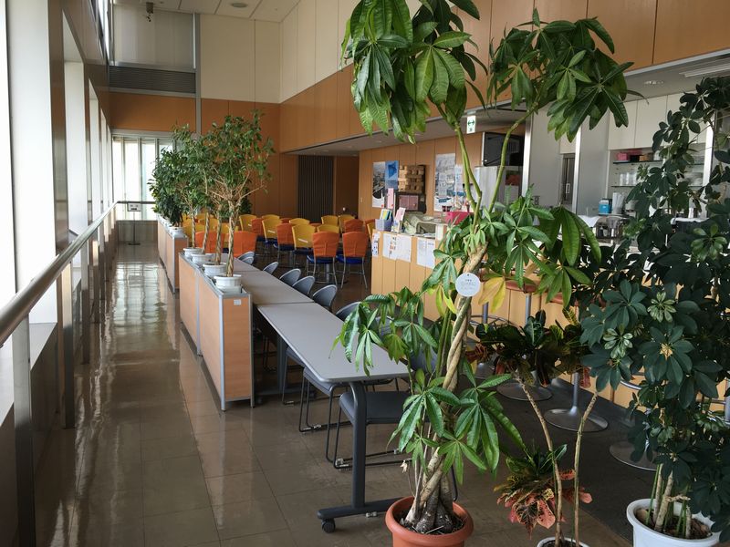香川県庁舎の展望室のカフェ