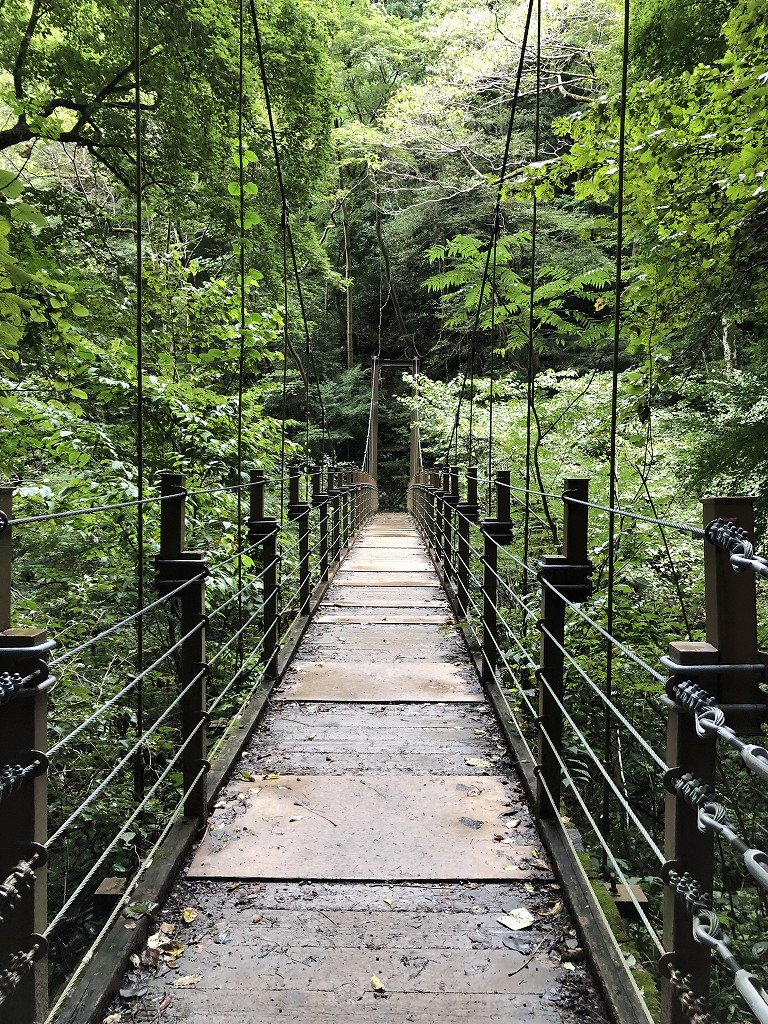 高尾山の4号路の吊橋