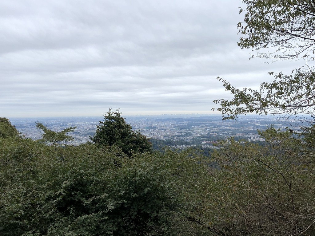 高尾山の展望台からスカイツリー1