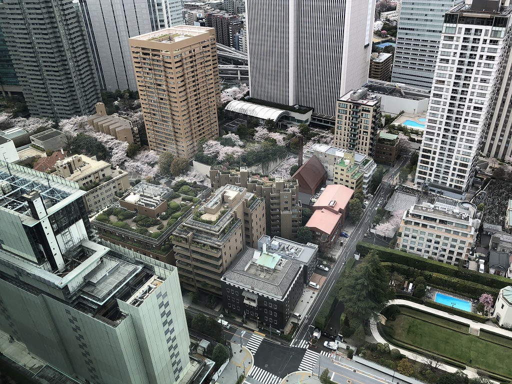 The Okura Tokyo プレステージタワーから桜並木（昼間）