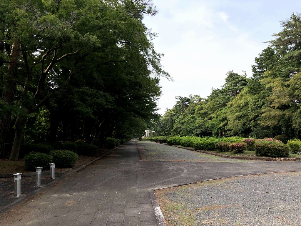 多磨霊園の通路