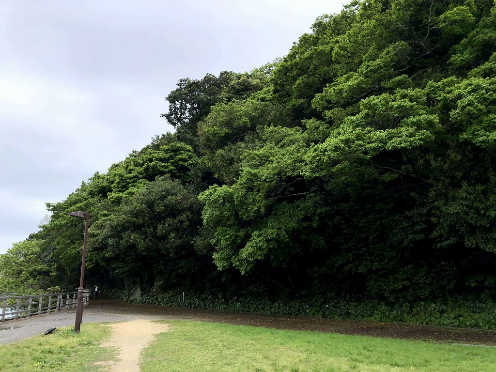 徳島城の城山