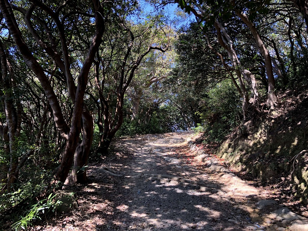 友ヶ島の第三砲台跡に向かう上り坂1